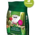 почва за кактуси