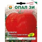 Биволско сърце гигант