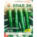 Семена краставици Гергана