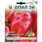 Семена Пловдивска капия