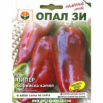 Семена Софийска капия