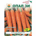 Семена моркови Тушон