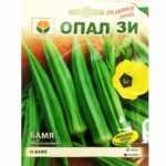 Бамя