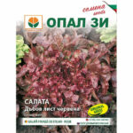 Салата ДЪБОВ ЛИСТ червена