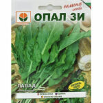 Лапад